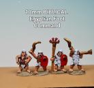 LW/BIB04 - Egyptian Foot Command