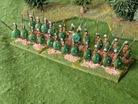 HIN/HUA080 -  Libyan Spearman