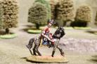 25/BP018 - Scots Greys