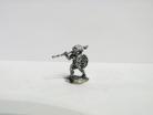 AB71 - Skelesh Warriors with Spear