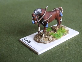 HIN/LH08 - Mameluke Horse. 