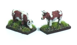 BA/LVS1 - Cows