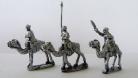 CE14 - Ansar Camelry Command
