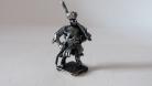 HIN/RE01 Drabant Infantry  musket & poleaxe.