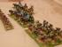 15mm Biblical 